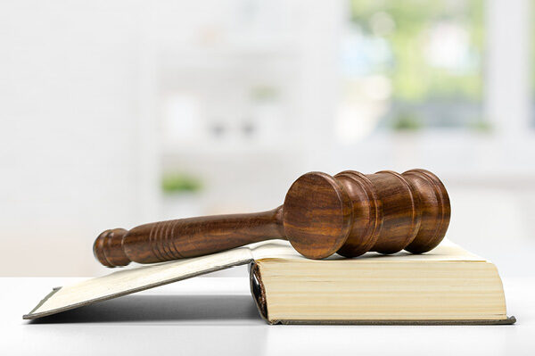 image of gavel on book