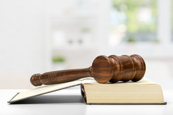 image of gavel on book